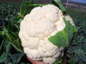 Cauliflower