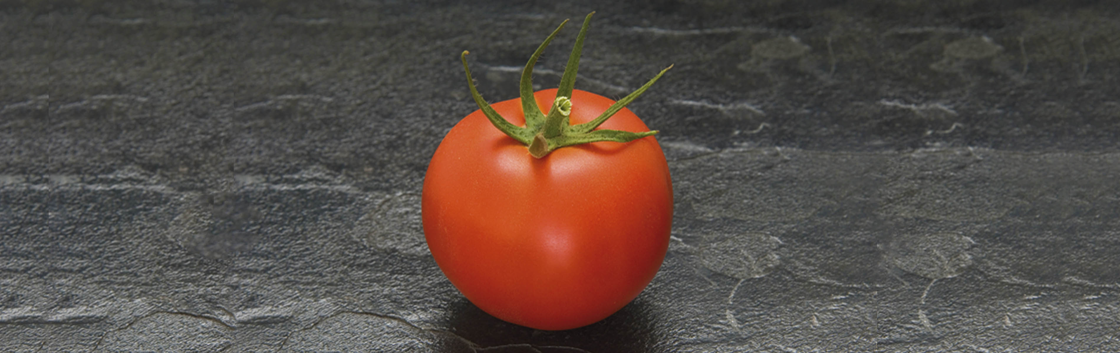 Processing Tomatoes