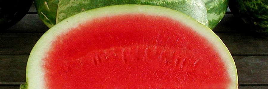 Watermelon