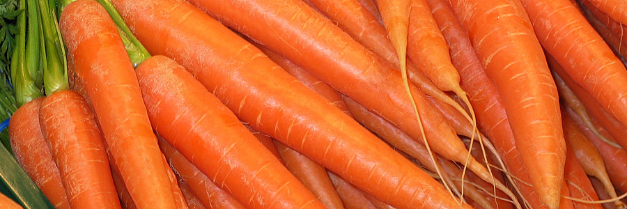 Carrots