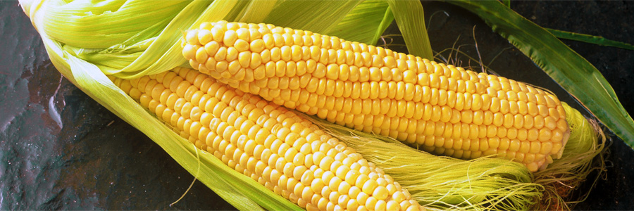 Sweet Corn